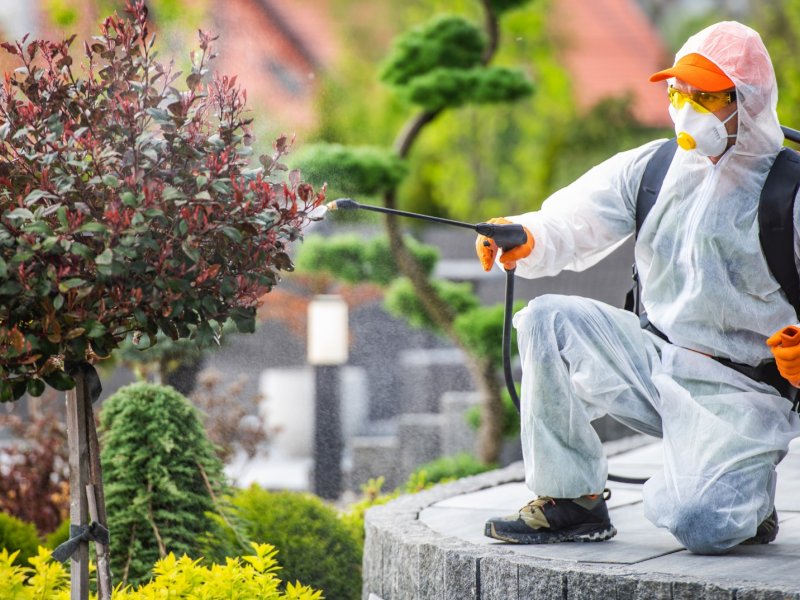 Ürkmez Haşere İlaçlama